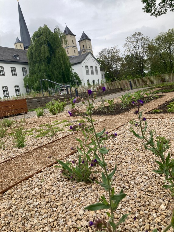 Foto mit dem Klostergarten im Vordergrund und der Abteikirche im Hintergrund