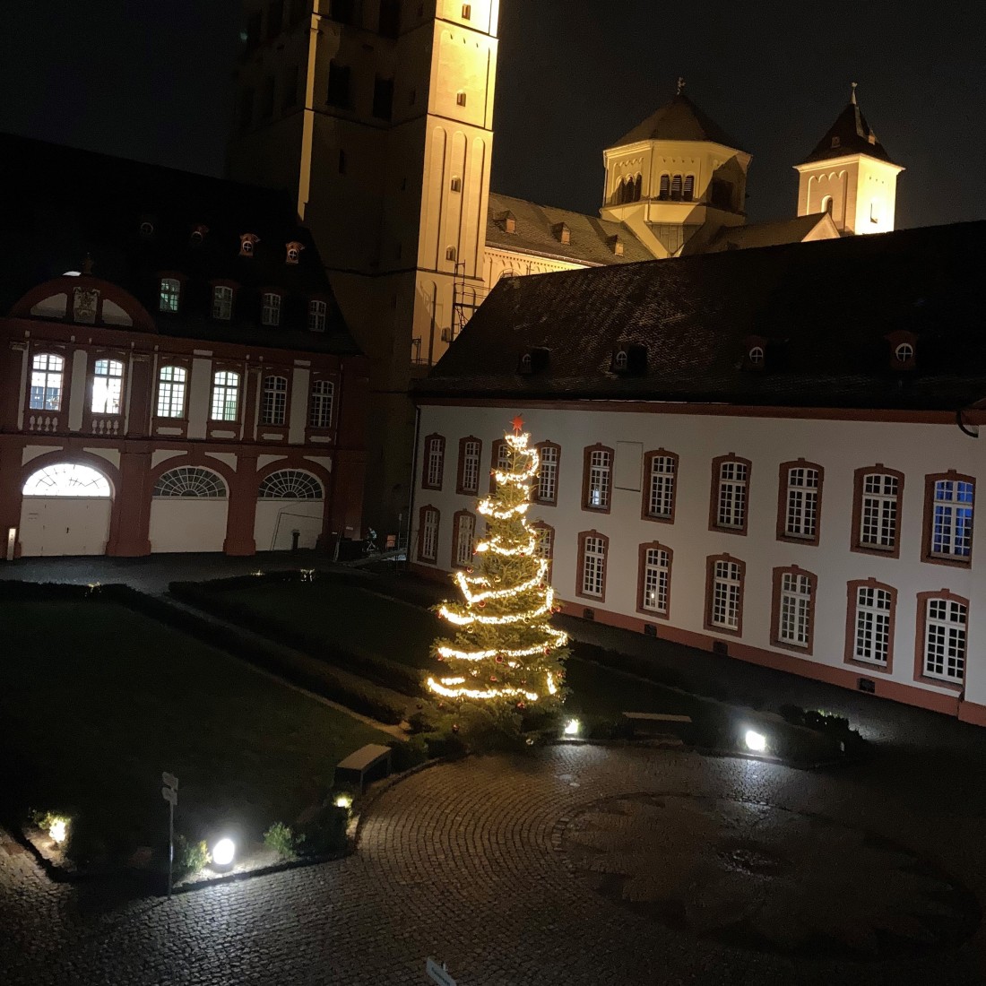 Weihnachtsbaum in der Prälatur der Abtei Brauweiler