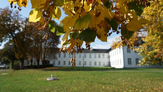 Foto des herbstlichen Abteiparks