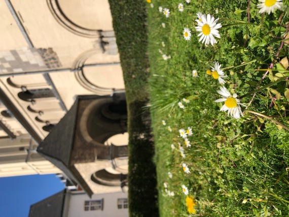 Foto von Blumen im Kreuzgang